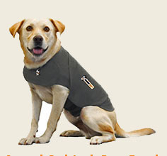 Thundershirt calms anxious pets